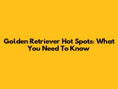 Golden Retriever Hot Spots: What You Need To Know