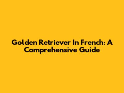 Golden Retriever In French: A Comprehensive Guide