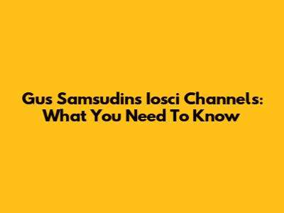 Gus Samsudin's Iosci Channels: What You Need To Know