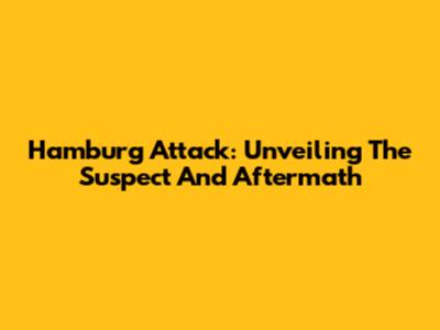 Hamburg Attack: Unveiling The Suspect And Aftermath