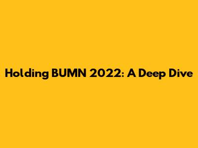 Holding BUMN 2022: A Deep Dive