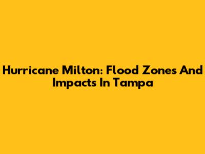 Hurricane Milton: Flood Zones And Impacts In Tampa