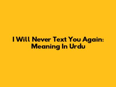I Will Never Text You Again: Meaning In Urdu