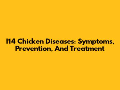 I14 Chicken Diseases: Symptoms, Prevention, And Treatment