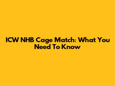 ICW NHB Cage Match: What You Need To Know