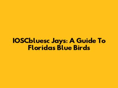 IOSCbluesc Jays: A Guide To Florida's Blue Birds