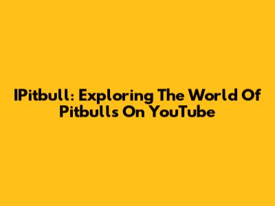 IPitbull: Exploring The World Of Pitbulls On YouTube