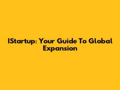 IStartup: Your Guide To Global Expansion
