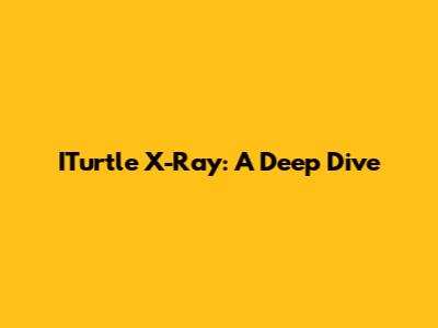 ITurtle X-Ray: A Deep Dive