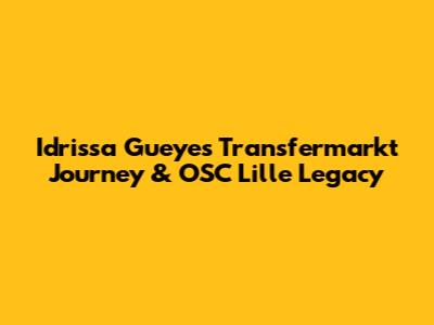 Idrissa Gueye's Transfermarkt Journey & OSC Lille Legacy