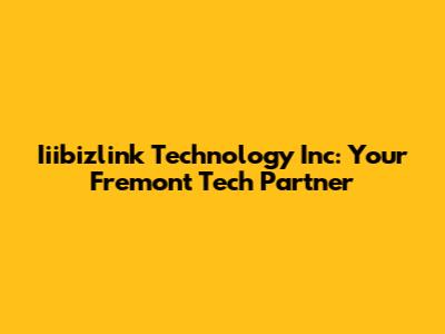 Iiibizlink Technology Inc: Your Fremont Tech Partner