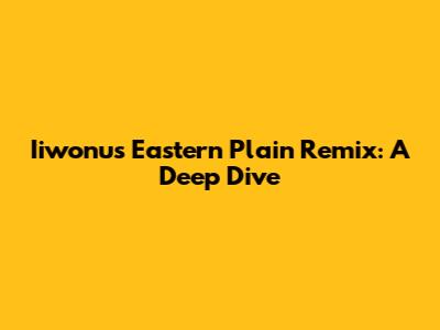 Iiwonu's Eastern Plain Remix: A Deep Dive