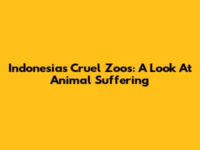 Indonesia's Cruel Zoos: A Look At Animal Suffering