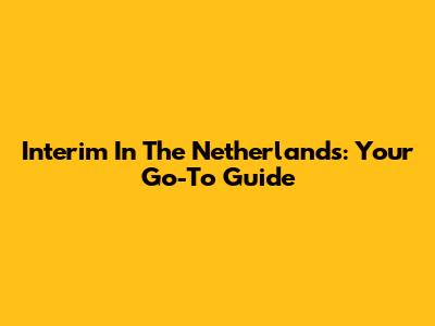 Interim In The Netherlands: Your Go-To Guide