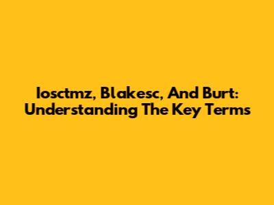 Iosctmz, Blakesc, And Burt: Understanding The Key Terms