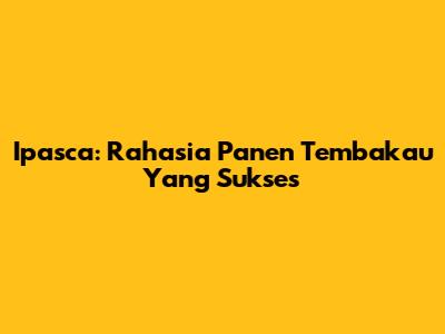 Ipasca: Rahasia Panen Tembakau Yang Sukses