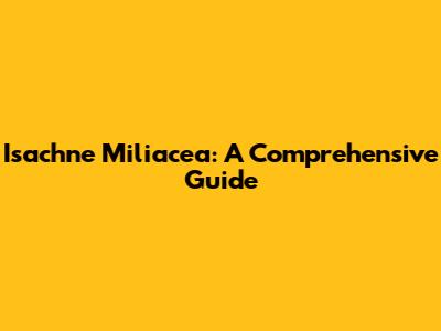 Isachne Miliacea: A Comprehensive Guide