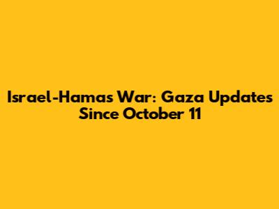 Israel-Hamas War: Gaza Updates Since October 11