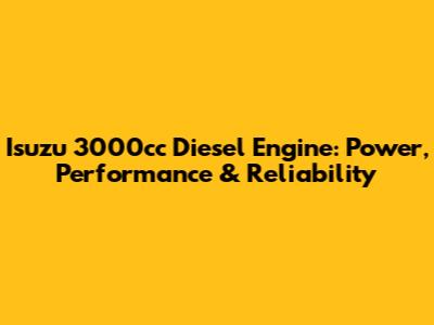 Isuzu 3000cc Diesel Engine: Power, Performance & Reliability