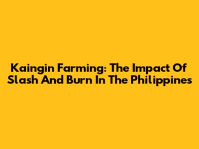 Kaingin Farming: The Impact Of Slash And Burn In The Philippines