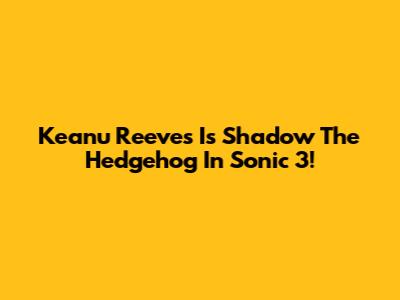 Keanu Reeves Is Shadow The Hedgehog In Sonic 3!