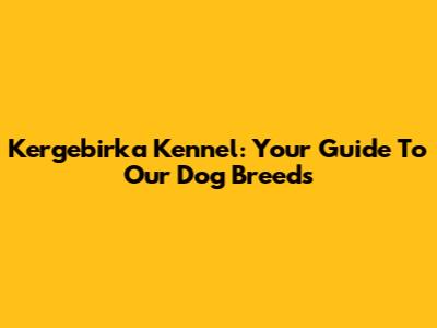 Kergebirka Kennel: Your Guide To Our Dog Breeds