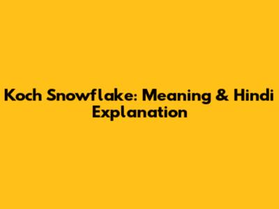 Koch Snowflake: Meaning & Hindi Explanation