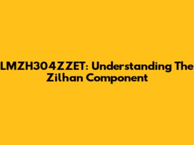 LMZH304ZZET: Understanding The Zilhan Component