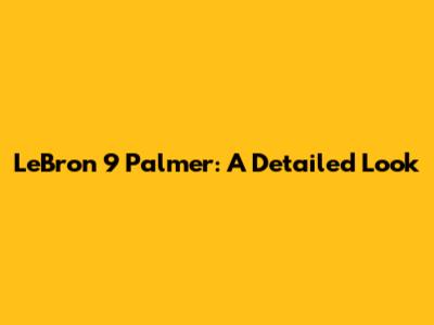 LeBron 9 Palmer: A Detailed Look
