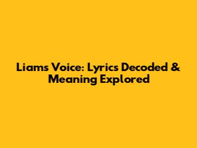 Liam's Voice: Lyrics Decoded & Meaning Explored