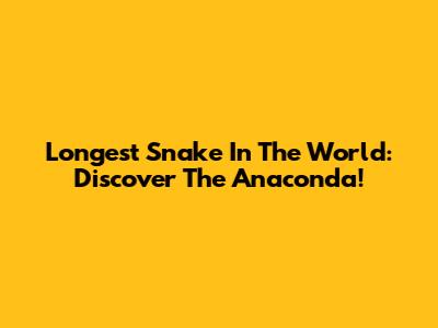 Longest Snake In The World: Discover The Anaconda!