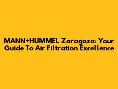 MANN+HUMMEL Zaragoza: Your Guide To Air Filtration Excellence