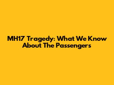 MH17 Tragedy: What We Know About The Passengers