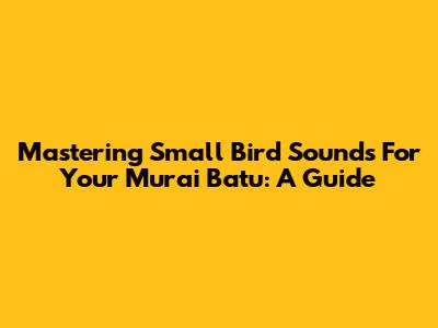 Mastering Small Bird Sounds For Your Murai Batu: A Guide