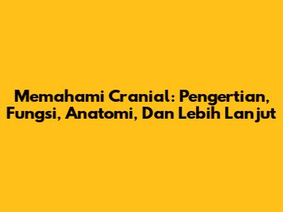 Memahami Cranial: Pengertian, Fungsi, Anatomi, Dan Lebih Lanjut