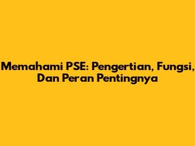 Memahami PSE: Pengertian, Fungsi, Dan Peran Pentingnya