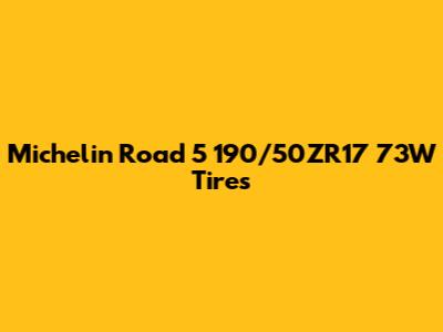 Michelin Road 5 190/50ZR17 73W Tires
