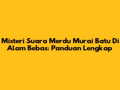 Misteri Suara Merdu Murai Batu Di Alam Bebas: Panduan Lengkap