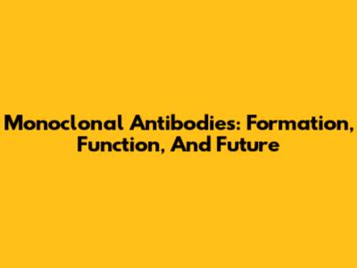 Monoclonal Antibodies: Formation, Function, And Future