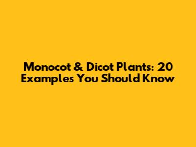 Monocot & Dicot Plants: 20 Examples You Should Know