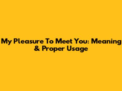 My Pleasure To Meet You: Meaning & Proper Usage