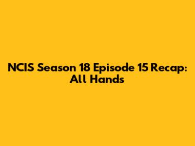 NCIS Season 18 Episode 15 Recap: All Hands