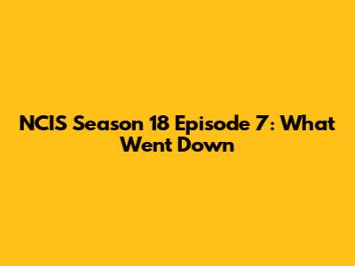 NCIS Season 18 Episode 7: What Went Down
