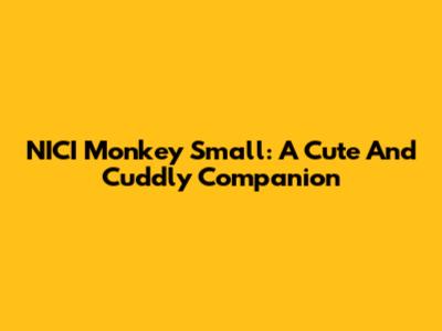 NICI Monkey Small: A Cute And Cuddly Companion