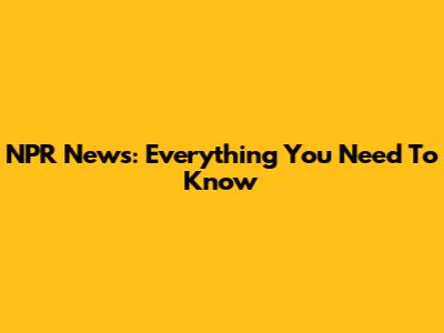 NPR News: Everything You Need To Know