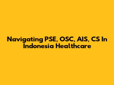 Navigating PSE, OSC, AIS, CS In Indonesia Healthcare