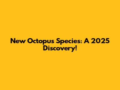 New Octopus Species: A 2025 Discovery!