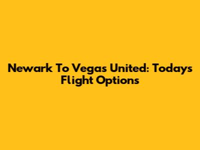 Newark To Vegas United: Today's Flight Options