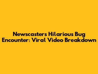 Newscaster's Hilarious Bug Encounter: Viral Video Breakdown