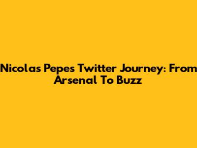 Nicolas Pepe's Twitter Journey: From Arsenal To Buzz